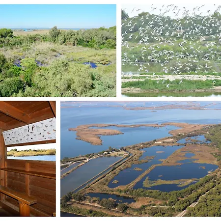 Andrés Pensión El Saler